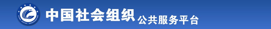 亚洲欧美操逼全国社会组织信息查询